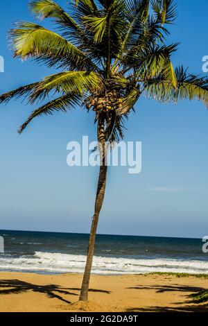 Kovalam Beach in Chennai, Tamil Nadu Stock Photo