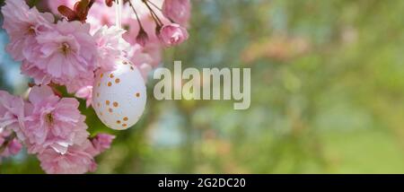 Decorative Easter egg hanging on flowering cherry tree with pink flowers. Easter background. Blossoms on a sunny spring day. Selective focus Stock Photo