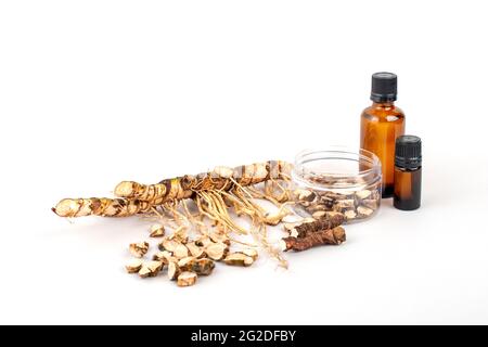 Fresh and dried Acorus calamus roots, also known as sweet flag, isolated on light background. Bottles with calamus extract and oil. For personal care Stock Photo