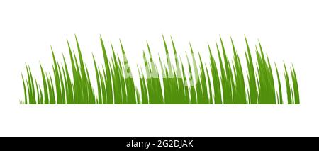 Green spring grass. Isolated on white background. Vector illustration. Stock Vector