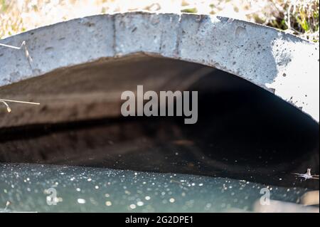 focus on scummy surface in a storm water culvert  Stock Photo