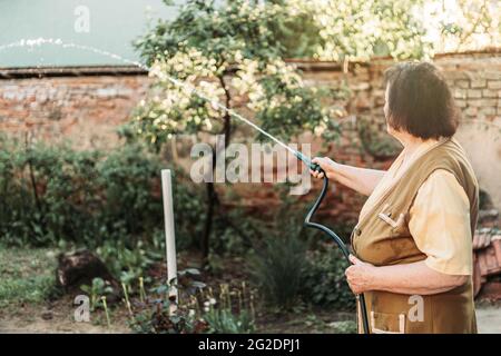 Elderly woman holding gardening hose, watering garden Stock Photo
