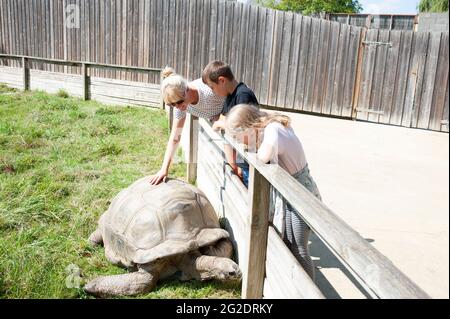 A family experience a special zoo for reptiles called Alligator Bay in Northern France. Stock Photo