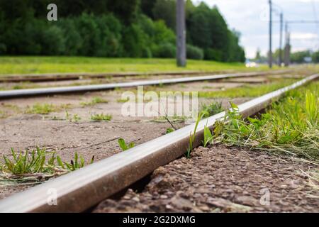 Tram track rails among green grass close up Stock Photo