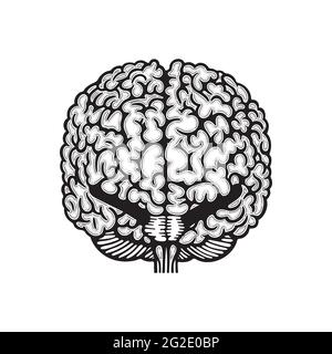 Brain hemispheres. Human brain back view hand drawn vector illustration. Brain outline drawing. Part of set. Stock Vector