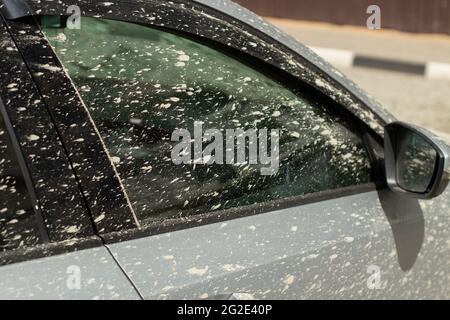 windshield dirty car splashed with mud close up Stock Photo - Alamy