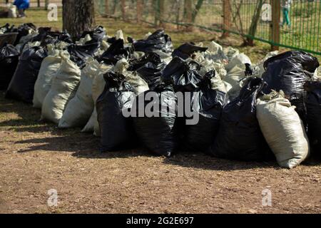 Lots of black trash bags with autumn leaves in them around a tree Stock  Photo - Alamy