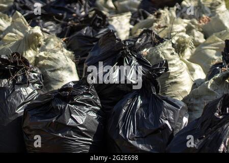 Lots of Black Trash Bags with Autumn Leaves in Them Around a Tree Stock  Photo - Image of grass, junk: 251650674