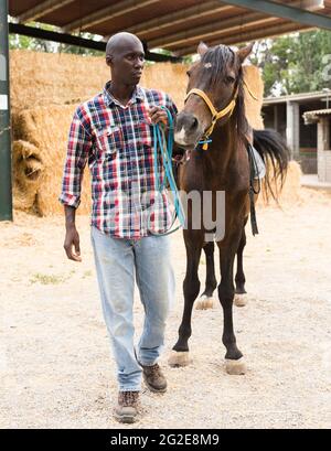 Male african american farmer standing with horse at stable outdoor Stock Photo