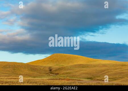 Mixed grass prairie of Wind Cave National Park, South Dakota, USA Stock Photo