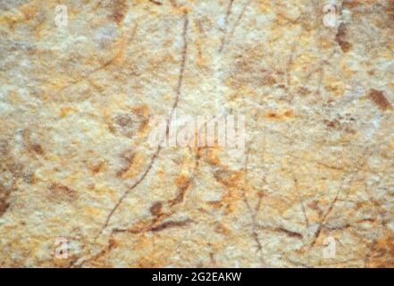 Pale yellow onyx with dark veins and streaks. Background, pattern, texture. Stock Photo
