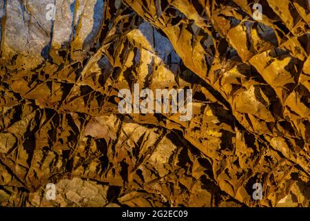 Intricate boxwork in Wind Cave, a cave formation found here more than anywhere else, Wind Cave National Park, South Dakota, USA Stock Photo