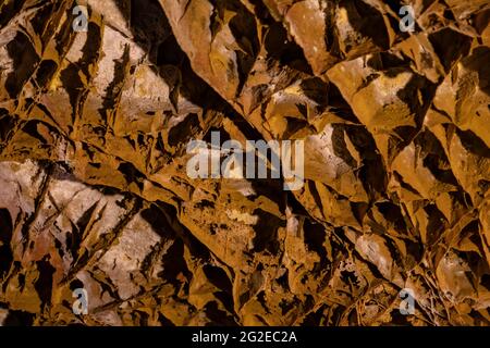 Boxwork A Boxwork geological formation of rocks in Wind Cave National Park ...