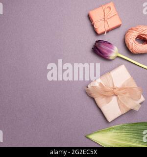 Pink gift boxes, string, purple tulip flower on purple background. flat lay, top view, copy space Stock Photo