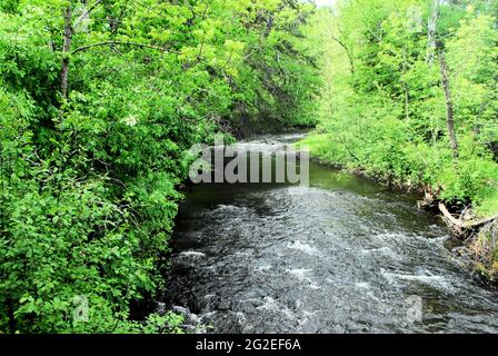 A small creek is flowing though the woods on a spring day in Thunder Bay, Ontario, Canada. Stock Photo