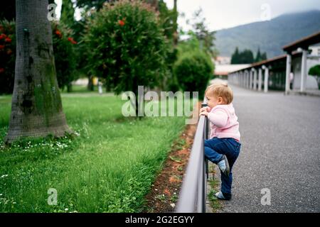 Little girl climbs over a metal fence in a green park Stock Photo