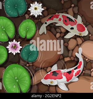 Cartoon koi fish swimming in water with leaves and lotus flowers Stock Vector