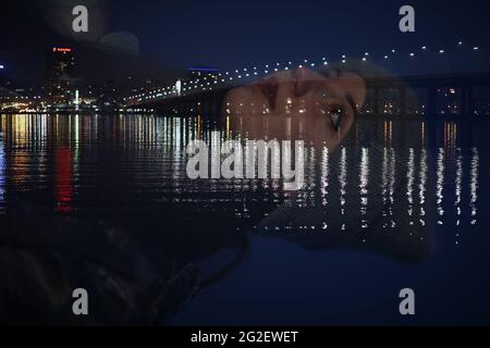 night city as it is beautiful lights on the background of the river Stock Photo