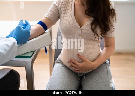 Prenatal Screening. Doctor Drawing Blood Sample From Pregnant Woman Stock Photo