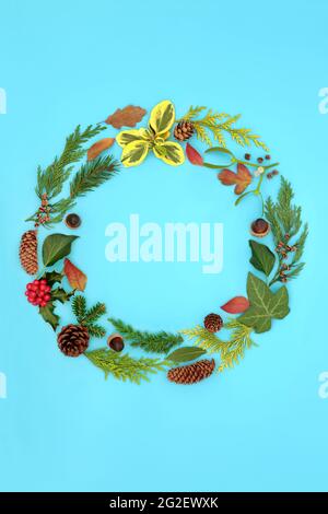 Natural winter solstice, Christmas and New Year wreath with holly and greenery on blue background. Nature and eco friendly composition. Stock Photo