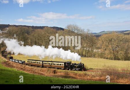 Steam locomotive No.9 Prince of Wales climbs way from Troed Rhiw Felen towards Nantyronen. Vale of Rheidol Railway. Wales Stock Photo