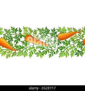 carrot pattern on white background Stock Vector