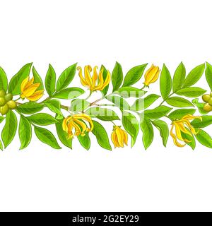 ylang ylang pattern on white background Stock Vector