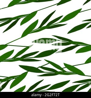 Seamless floral vector pattern. Hand-drawn colored green branches with leaves isolated on white background. Gentle plants ornament. Spring illustratio Stock Vector
