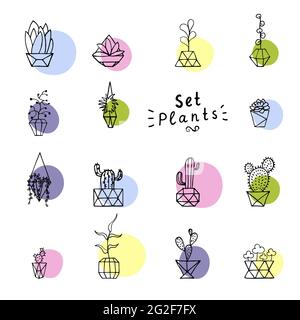Seamless vector pattern Doodle plants with colorful circles. Hand drawn leaves, succulents and cactus with interior poly faceted flower pot. Spring co Stock Vector