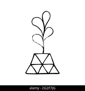 Doodle plant in a faceted pot. Hand-drawn leaves with poly flower pot. Black outline of a home plant isolated on a white background. Cute Scandinavian Stock Vector