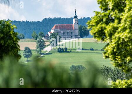 Blaibach, Germany. 11th June, 2021. The pilgrimage church of the Assumption of the Virgin Mary in the Weissenregen district. Credit: Armin Weigel/dpa/Alamy Live News Stock Photo