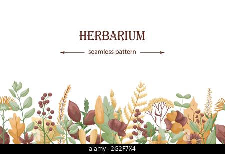 otanical template with horizontal seamless pattern of dried flowers and leaves. Place for text. Stock Vector