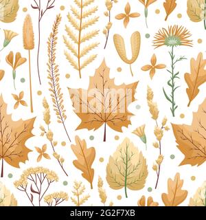 Seamless vector pattern with herbarium leaves and flowers on a white background. Autumn colors, fall leaves. Stock Vector
