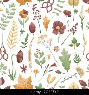 Seamless vector pattern with herbarium leaves and flowers on a white background. Hobby. Stock Vector
