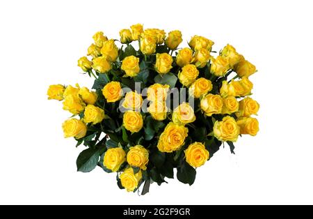 Bouquet of yellow roses, flowers isolated on white background Stock Photo
