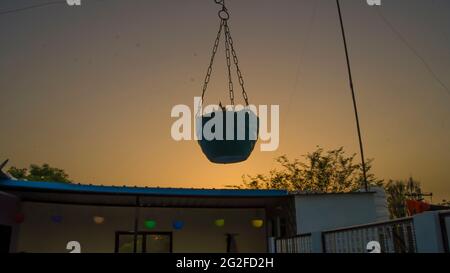 Hanging in blue plastic pot in the house isolated on sunset background included clipping path. Stock Photo