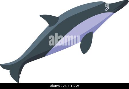 dolphin ocean isometric icon vector illustration Stock Vector Image ...