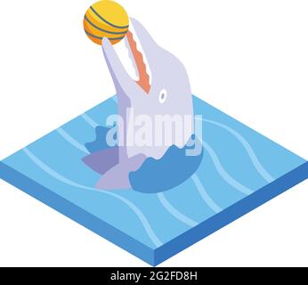 Dolphin icon. Isometric of Dolphin vector icon for web design isolated ...