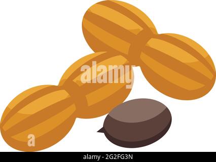 Hazelnut protein icon. Isometric of Hazelnut protein vector icon for web design isolated on white background Stock Vector