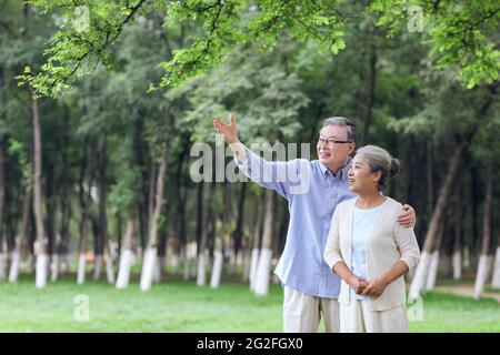 Happy old couple looking at the scenery in the park high quality photo Stock Photo