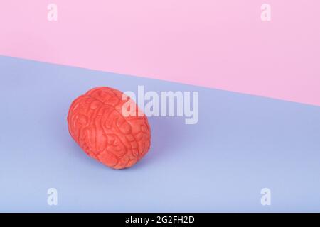 Creative minimal scene with a human brain on a pastel blue and pink background. Minimal art concept of  mental health. Copy space Stock Photo