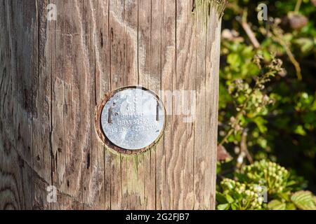 Metal plaque with a CE marking on a wooden telegraph pole, indicating it meets European Union legislation for safety, health and environmental protect Stock Photo
