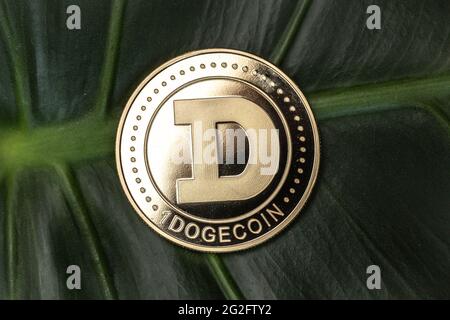 Dogecoin meme coin. Cryptocurrency close up. Stock Photo