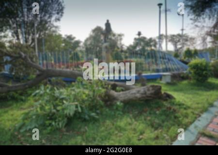 Blurred image of Super cyclone Amphan uprooted tree and the force broke ...