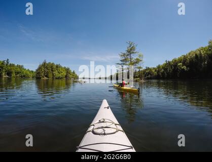 Two kayaks being paddled on lake in Ontario, Canada on sunny day. Stock Photo