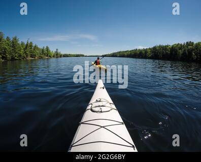 Two kayaks being paddled on lake in Ontario, Canada on sunny day. Stock Photo