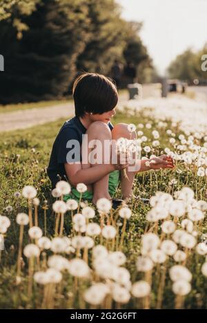 Young boy picking dandelion flowers on a sunny summer day. Stock Photo