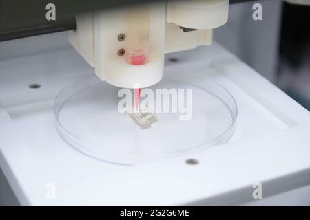 3D bioprinter printing a ear prototype into a petri plate. Stock Photo
