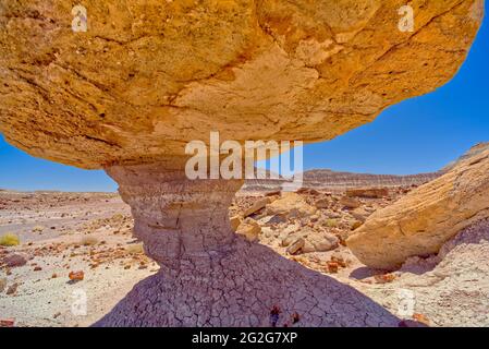 Beneath Toadstool Rock in Petrified Forest National Park AZ Stock Photo