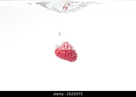 One raspberry splashing in water on white Stock Photo
